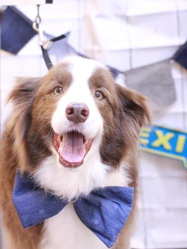 20230406ソイくん